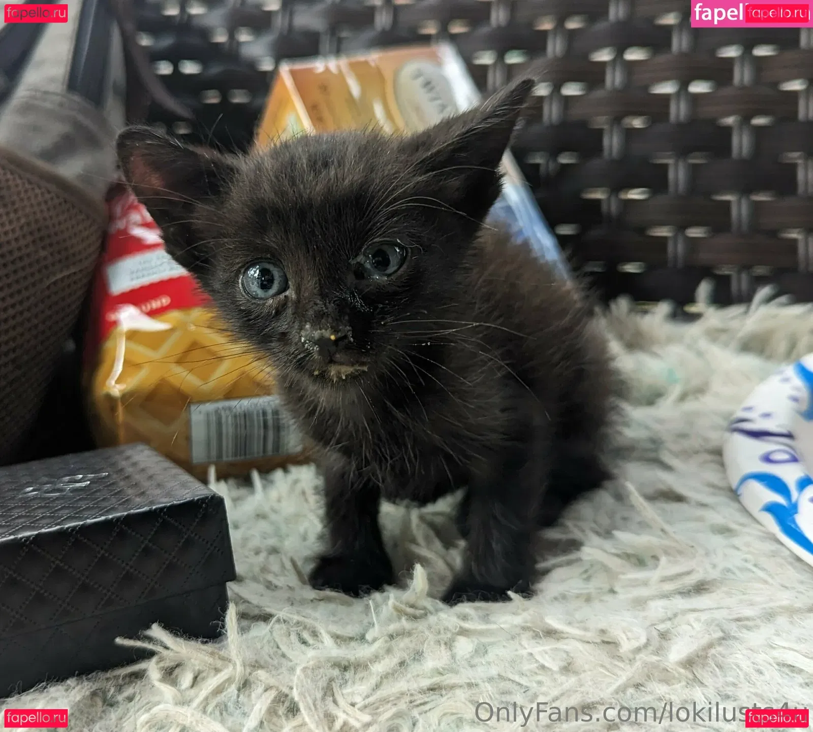 lokilusts4u Onlyfans Photo Gallery 