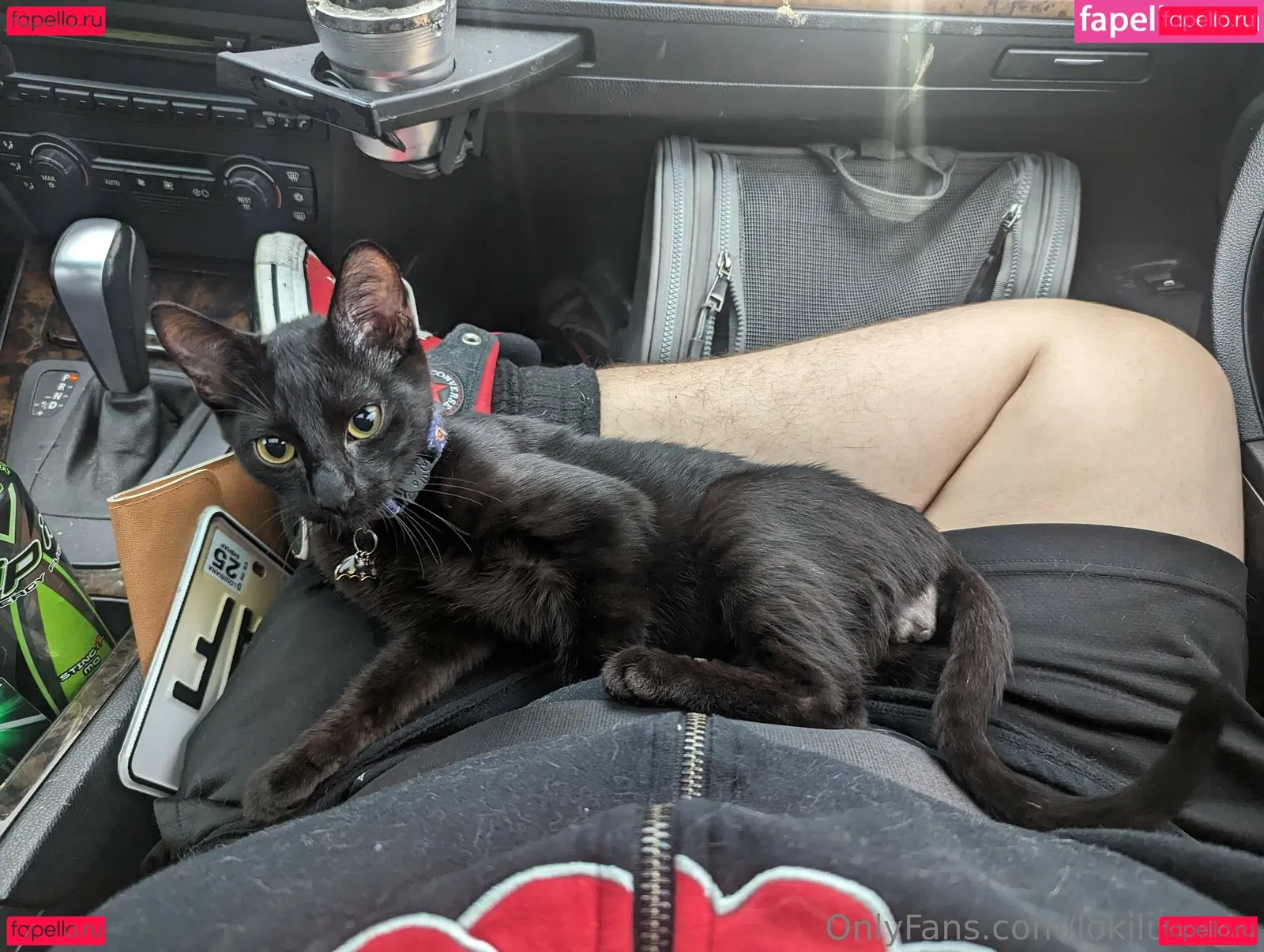 lokilusts4u Onlyfans Photo Gallery 