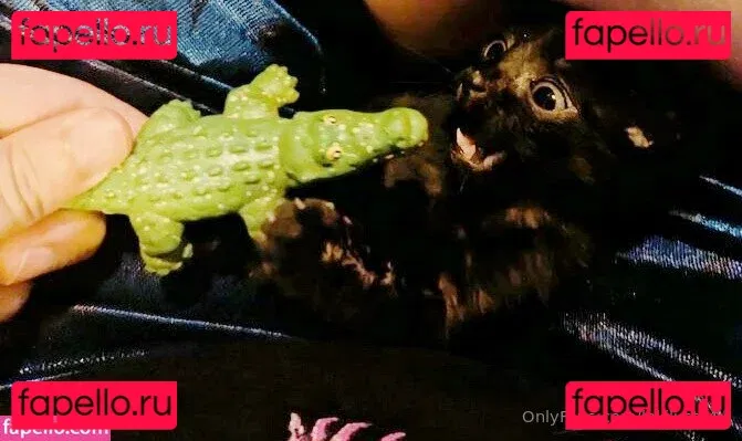 lokilusts4u Onlyfans Photo Gallery 