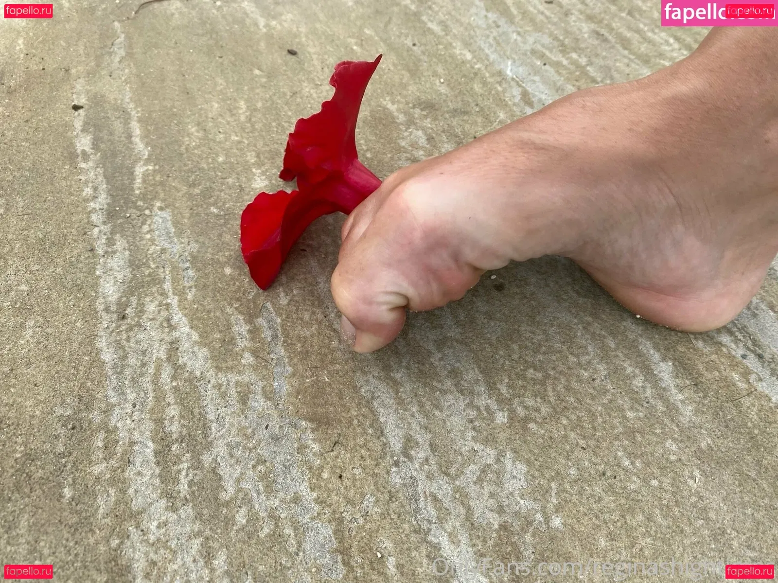 missmatriarch Onlyfans Photo Gallery 