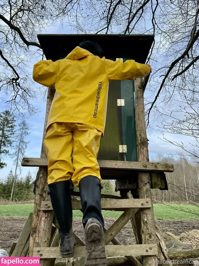 yellowdreamcap Onlyfans Photo Gallery 