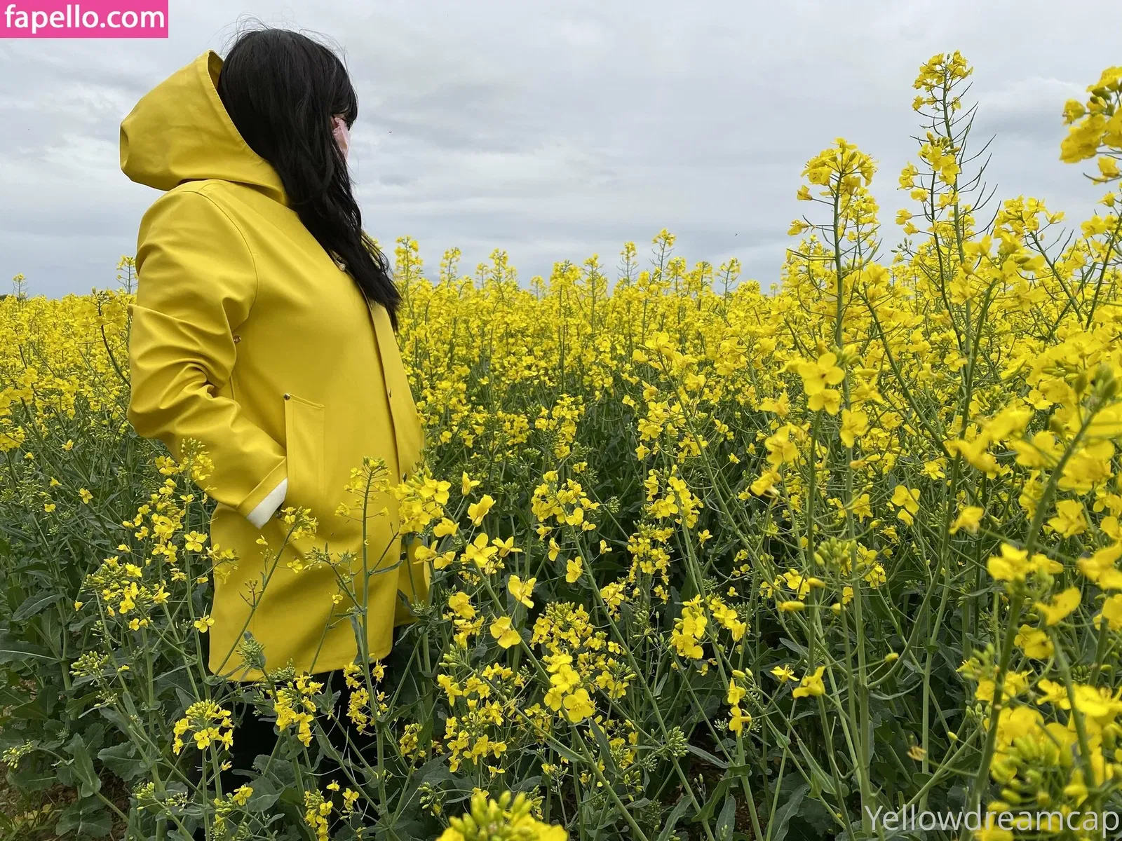 yellowdreamcap Onlyfans Photo Gallery 