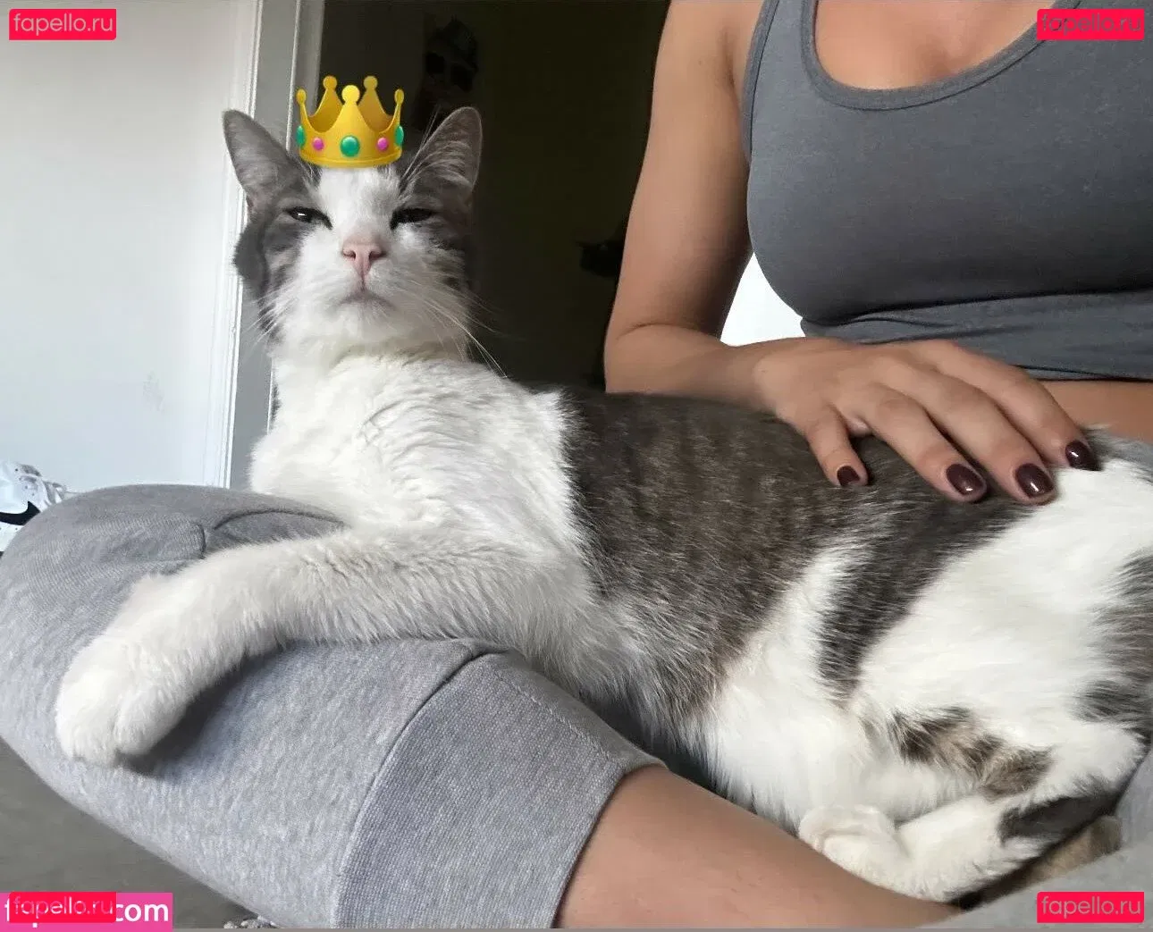 Jacy Jayne Onlyfans Photo Gallery 