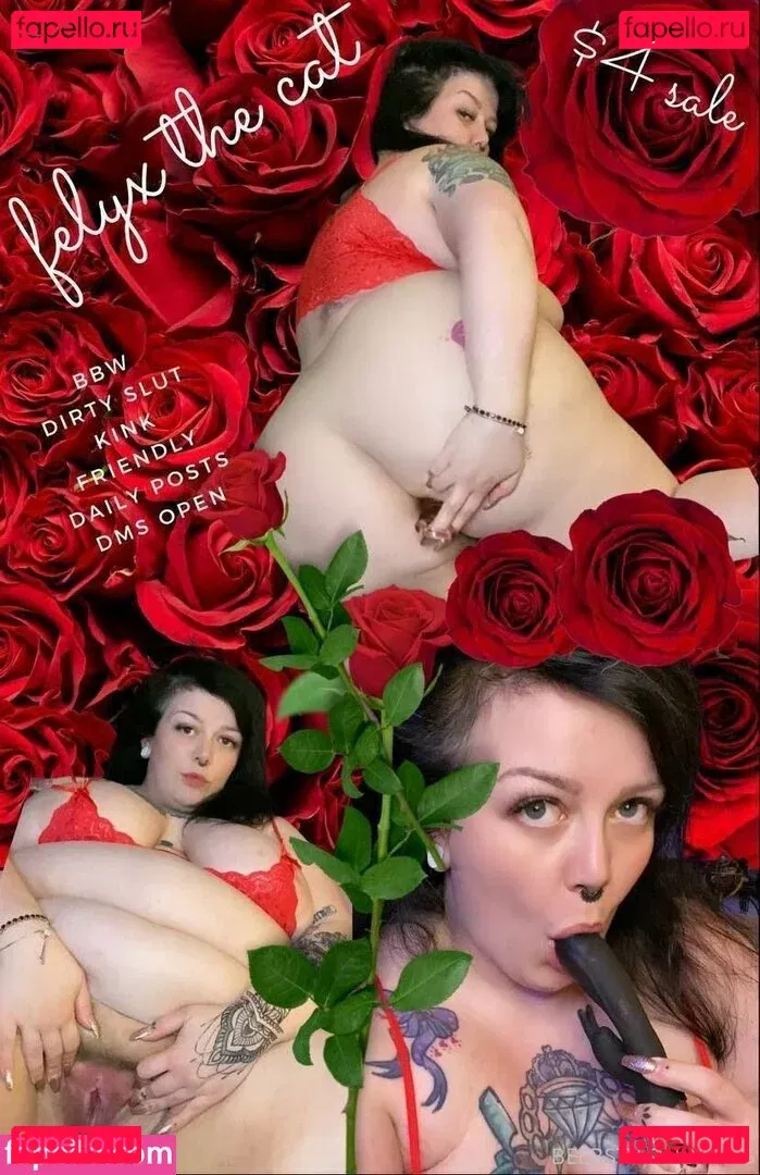 beebstv Onlyfans Photo Gallery 