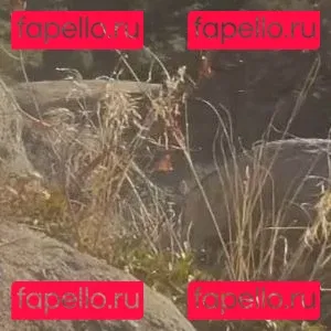 Peachypeaks Onlyfans Photo Gallery 