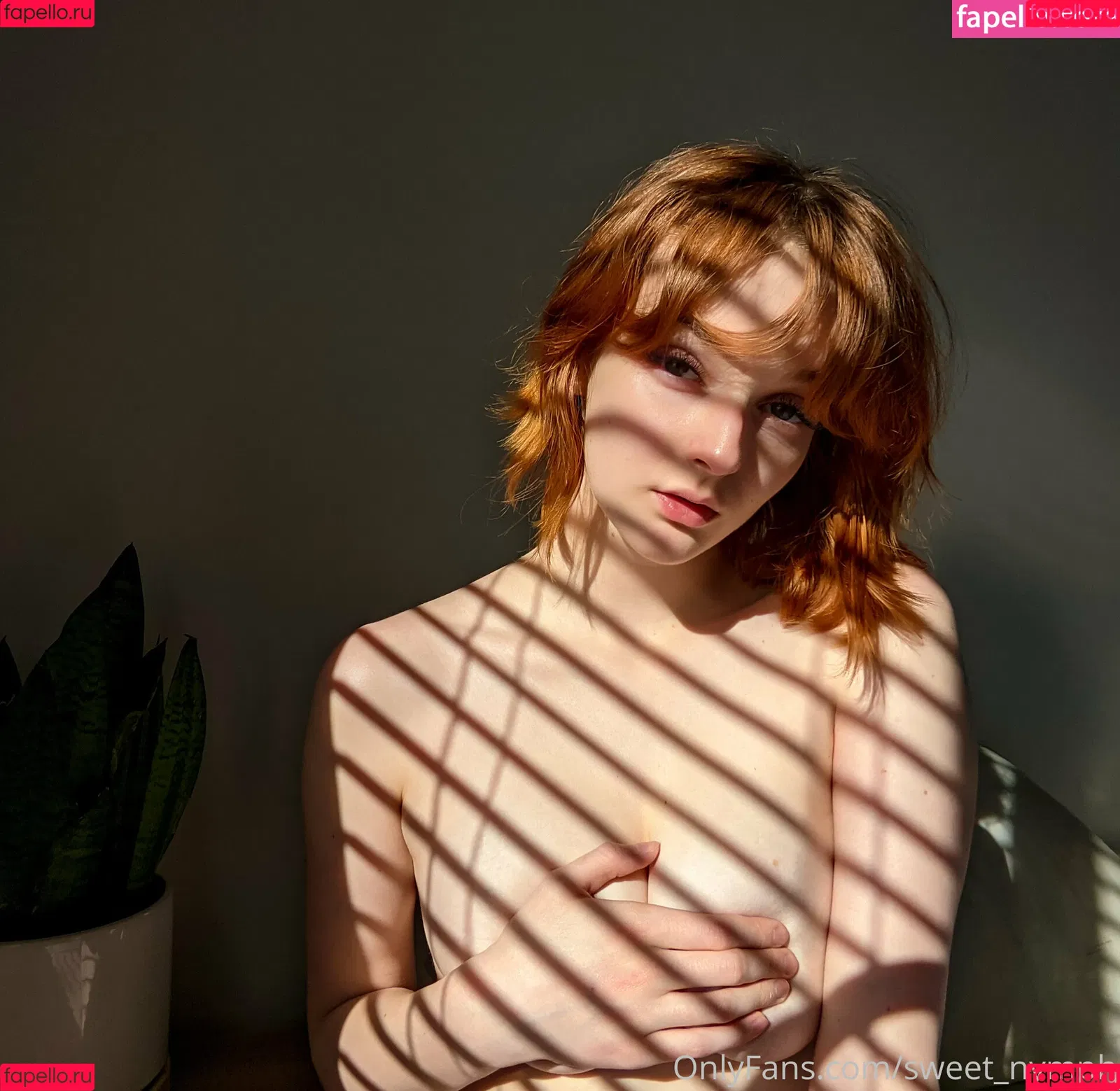 sweet_nymph Onlyfans Photo Gallery 