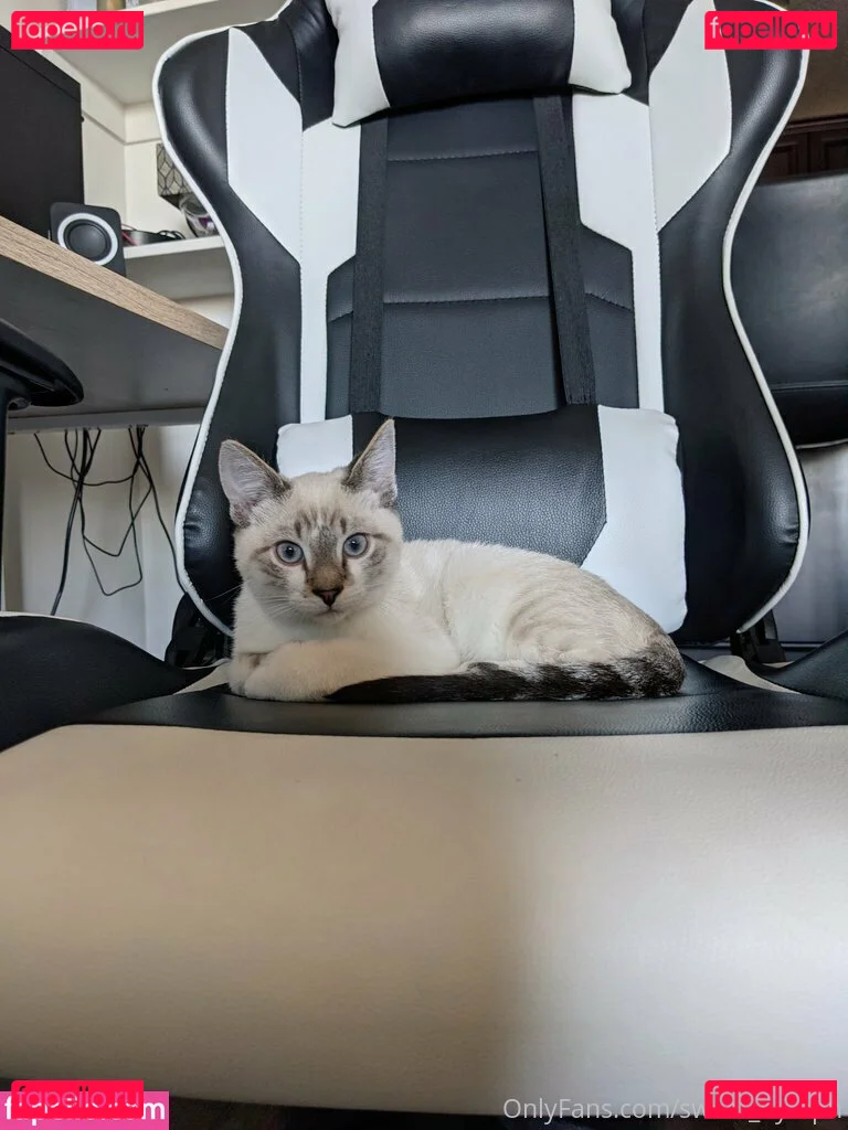 sweet_nymph Onlyfans Photo Gallery 