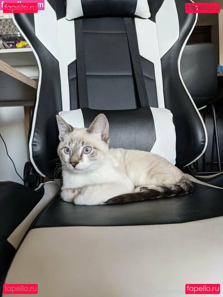 sweet_nymph Onlyfans Photo Gallery 