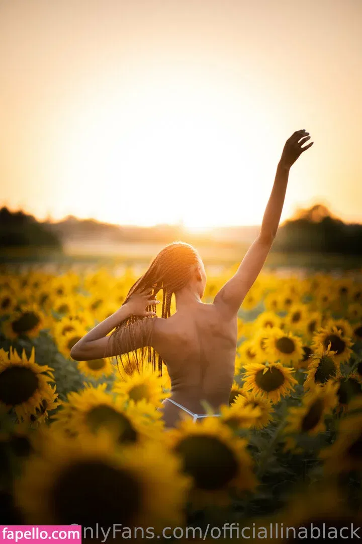 officiallinablack Onlyfans Photo Gallery 