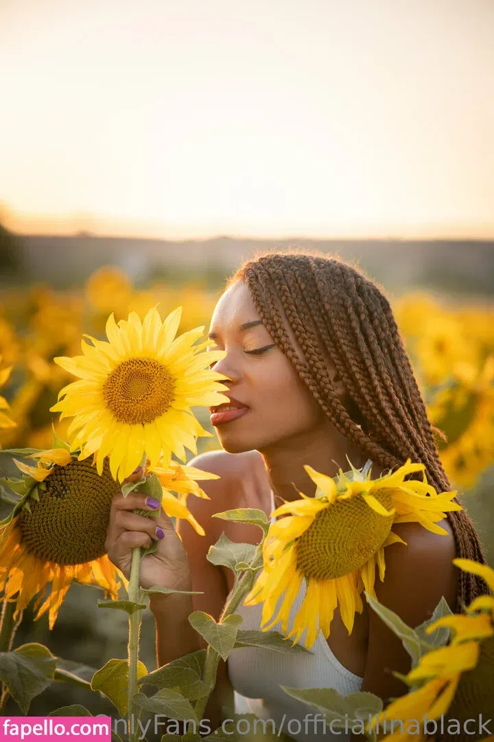 officiallinablack Onlyfans Photo Gallery 