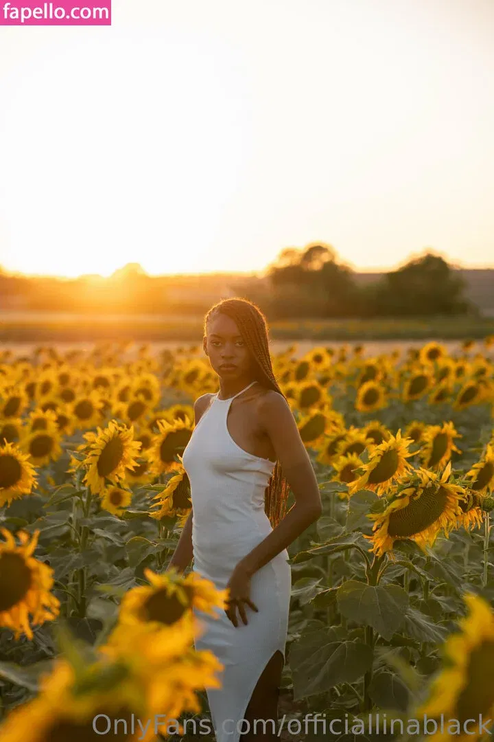 officiallinablack Onlyfans Photo Gallery 