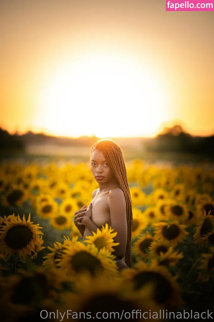 officiallinablack Onlyfans Photo Gallery 