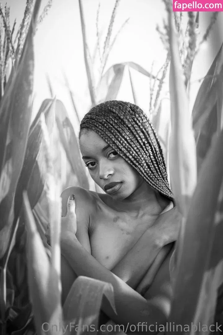 officiallinablack Onlyfans Photo Gallery 