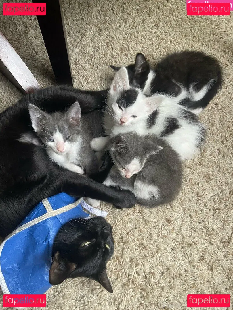 myramoans Onlyfans Photo Gallery 