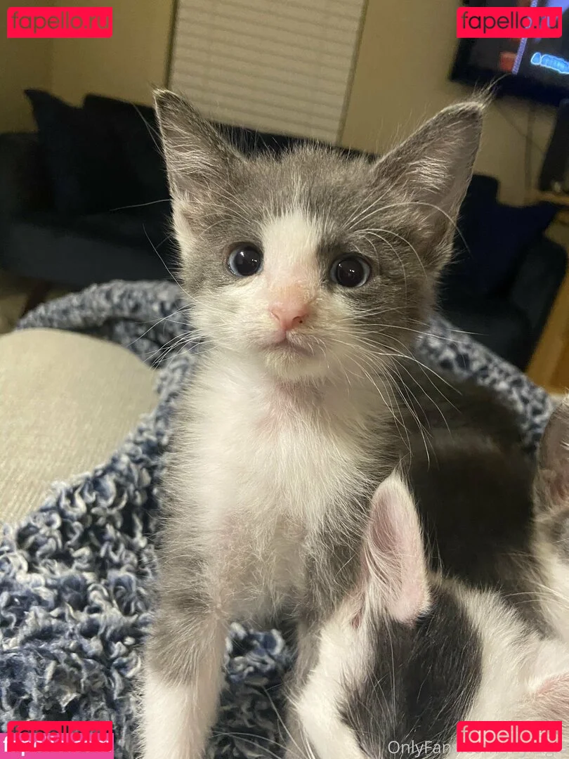 myramoans Onlyfans Photo Gallery 