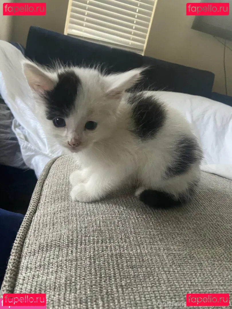 myramoans Onlyfans Photo Gallery 