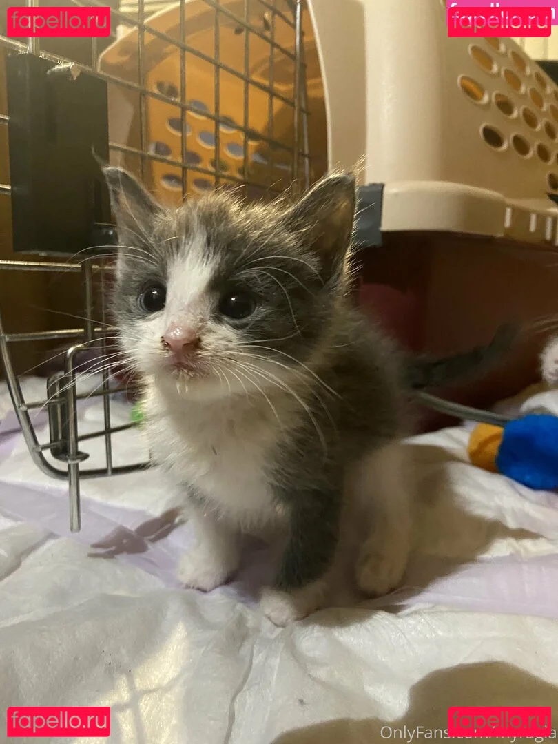 myramoans Onlyfans Photo Gallery 