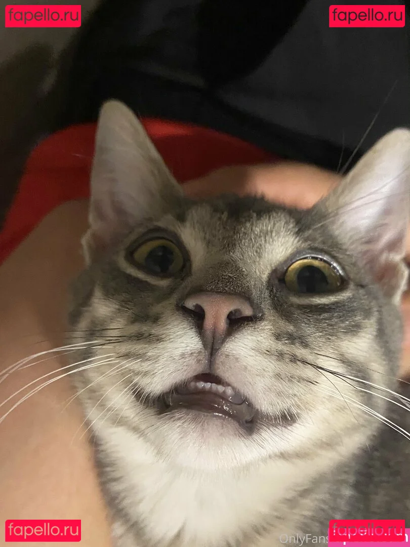 myramoans Onlyfans Photo Gallery 