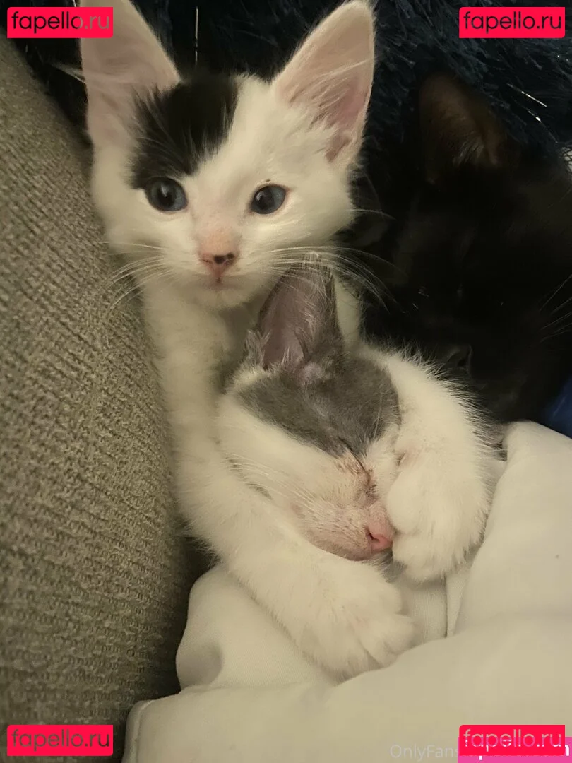 myramoans Onlyfans Photo Gallery 