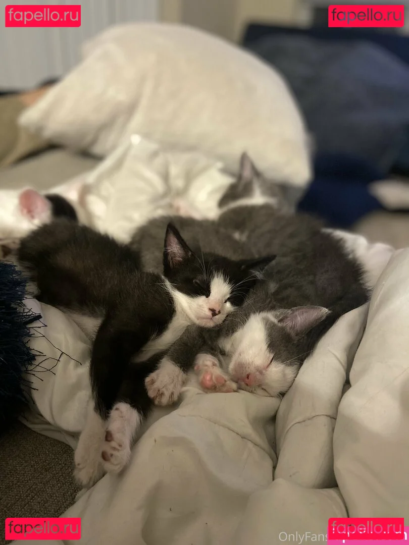 myramoans Onlyfans Photo Gallery 