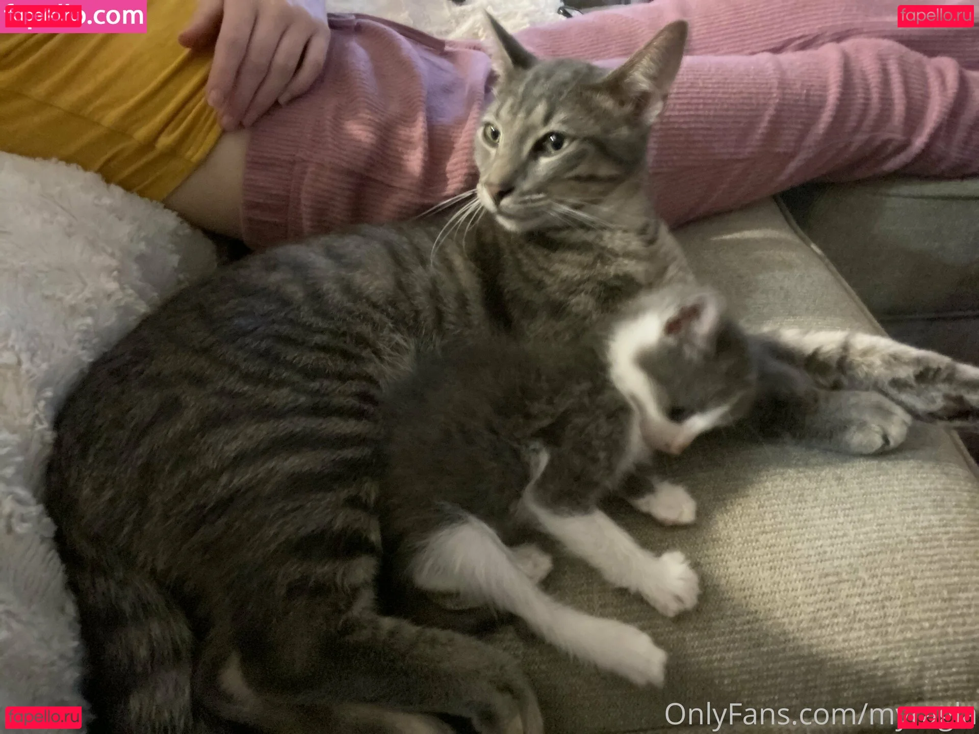 myramoans Onlyfans Photo Gallery 