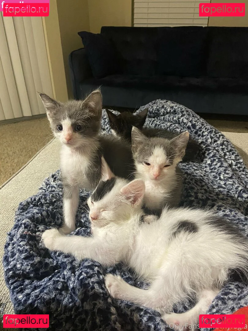 myramoans Onlyfans Photo Gallery 