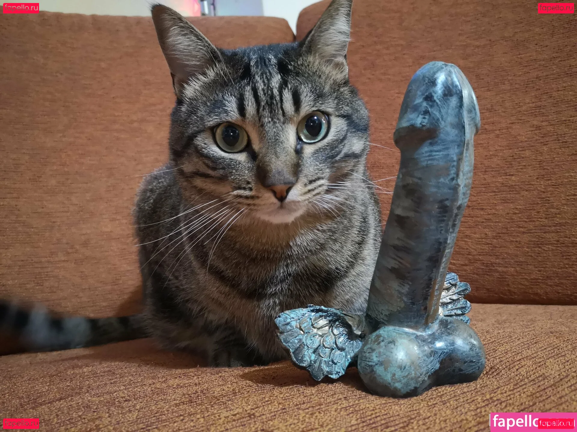 milavolker Onlyfans Photo Gallery 