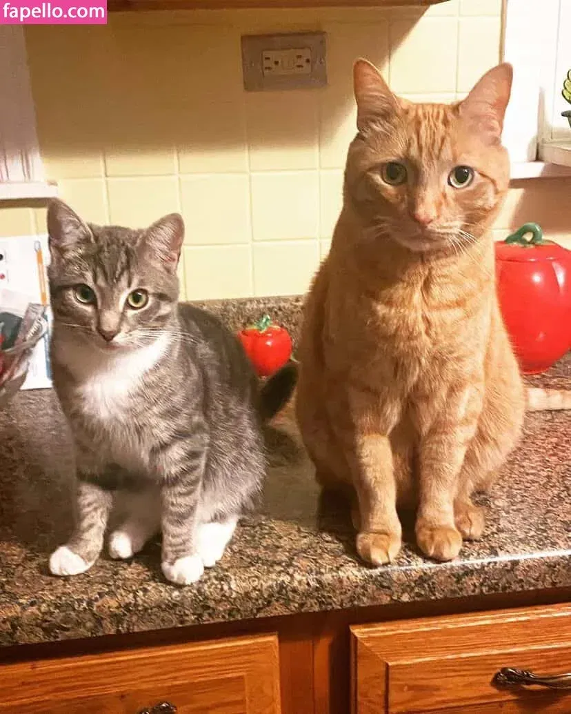 mrspjhaverstock Onlyfans Photo Gallery 