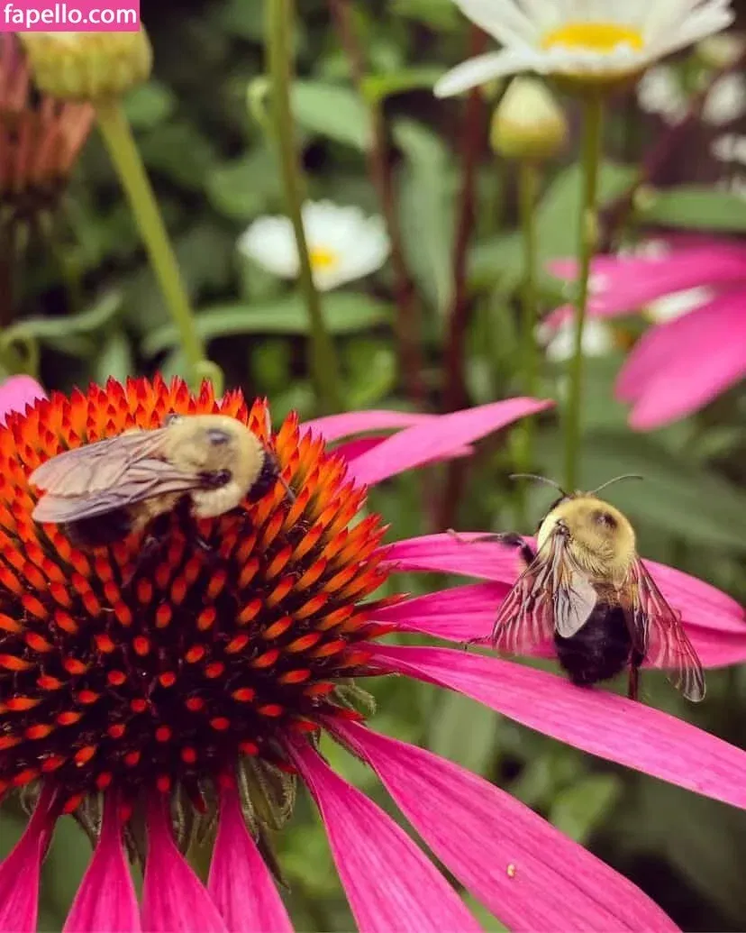 mrspjhaverstock Onlyfans Photo Gallery 