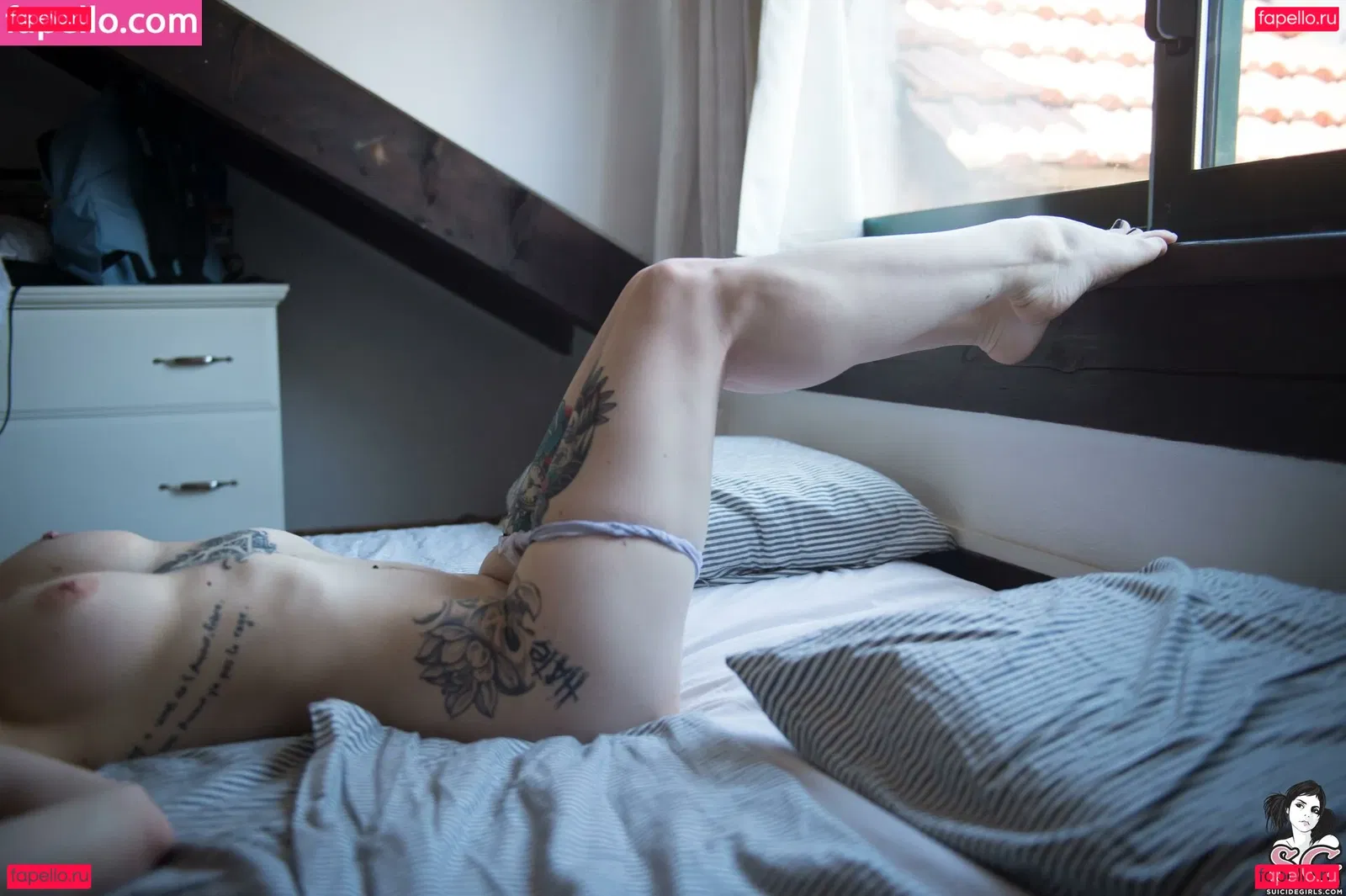 Zenit sg Onlyfans Photo Gallery 