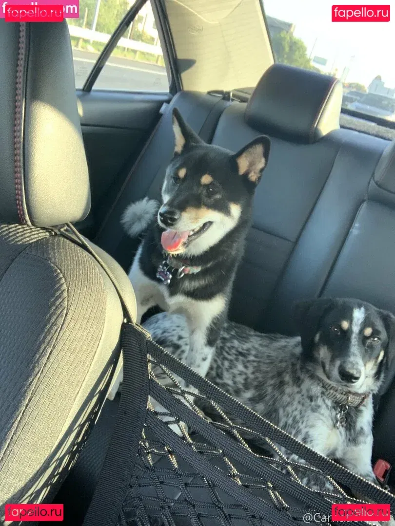 carnationkatie Onlyfans Photo Gallery 