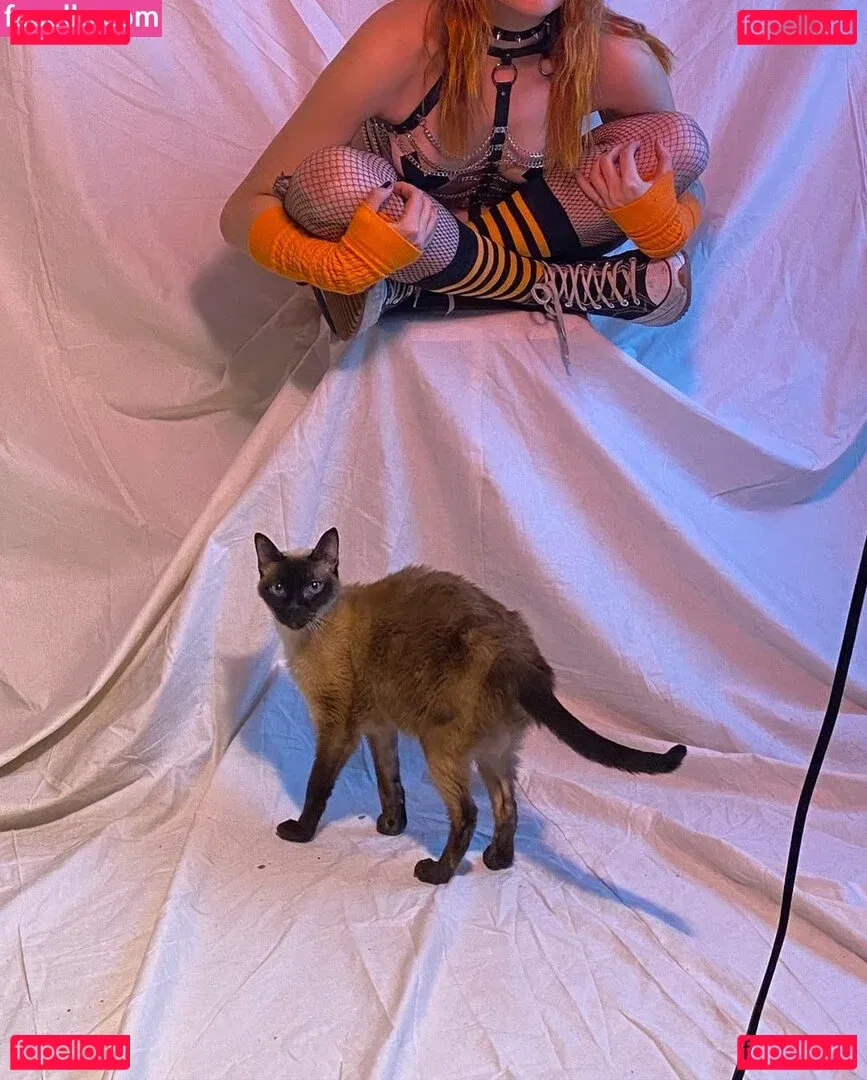 Locallbimbo Onlyfans Photo Gallery 