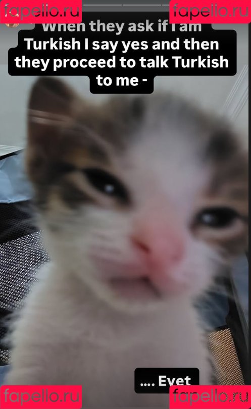 Sayathefox Onlyfans Photo Gallery 