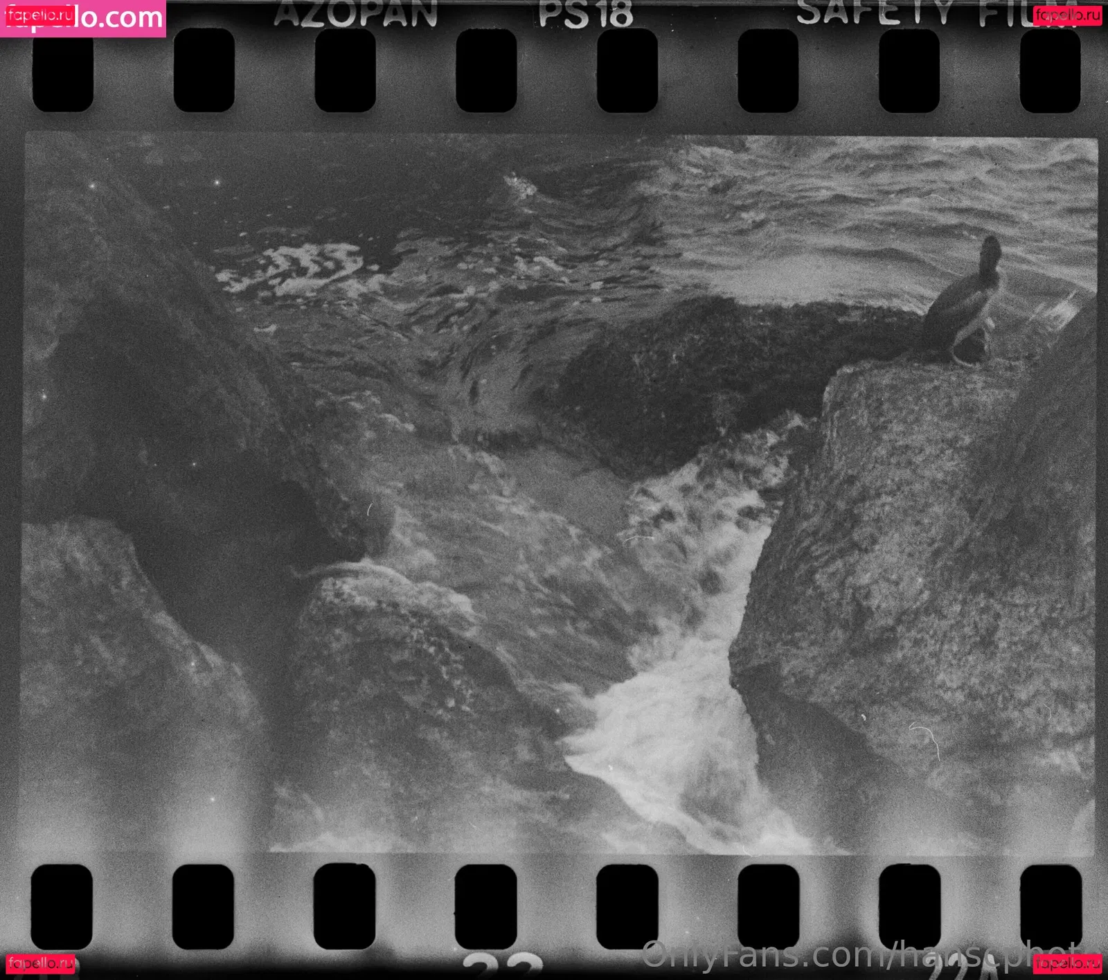 hanscphoto Onlyfans Photo Gallery 