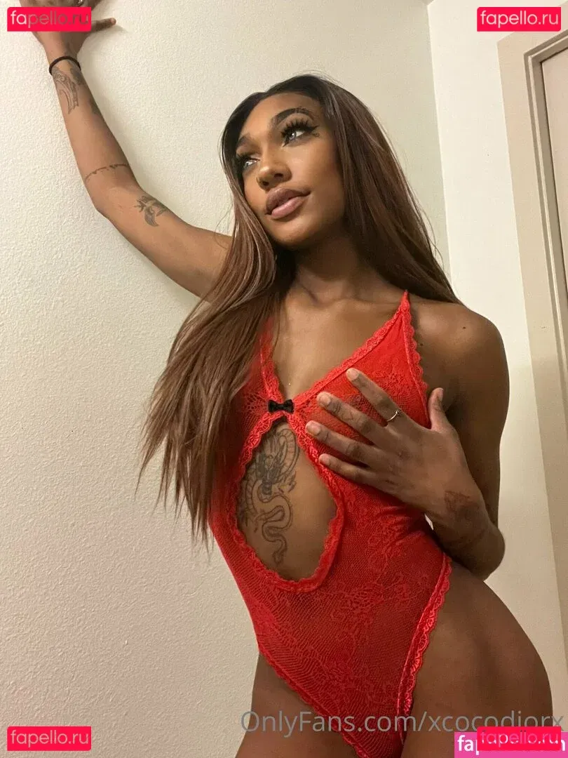 xcocodiorx Onlyfans Photo Gallery 