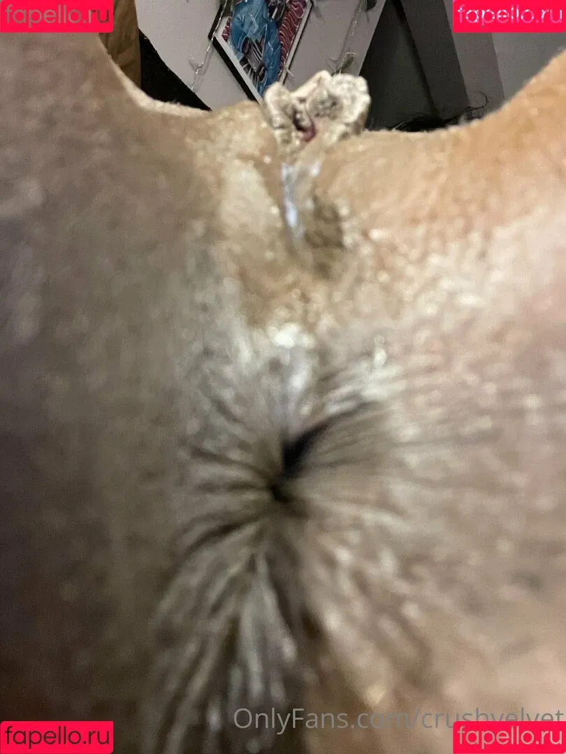 crushvelvet Onlyfans Photo Gallery 