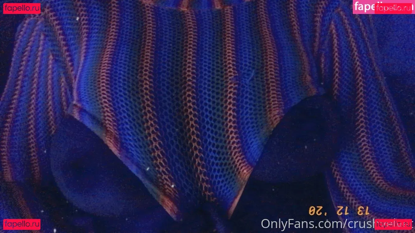 crushvelvet Onlyfans Photo Gallery 