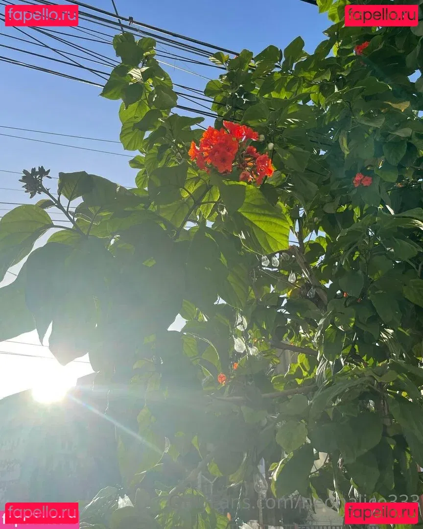 neonalice333 Onlyfans Photo Gallery 