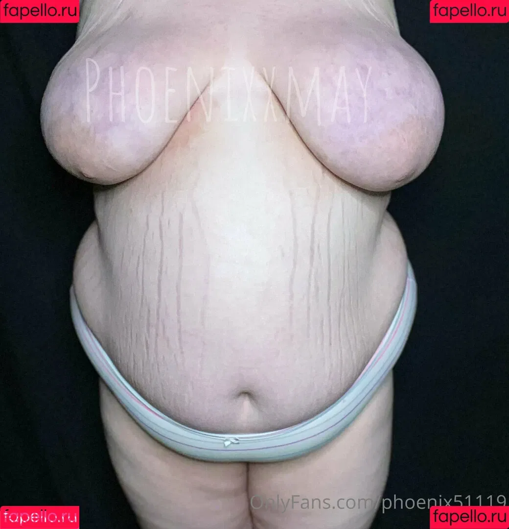 phoenix51119 Onlyfans Photo Gallery 
