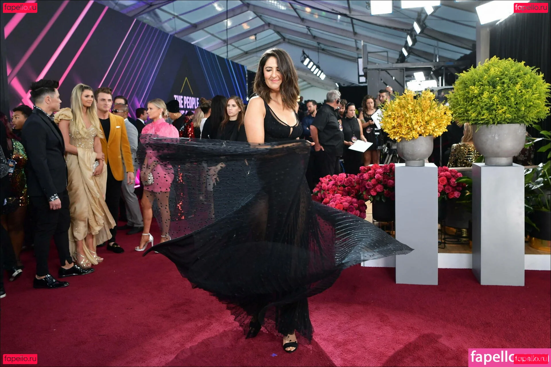 D'Arcy Carden Onlyfans Photo Gallery 