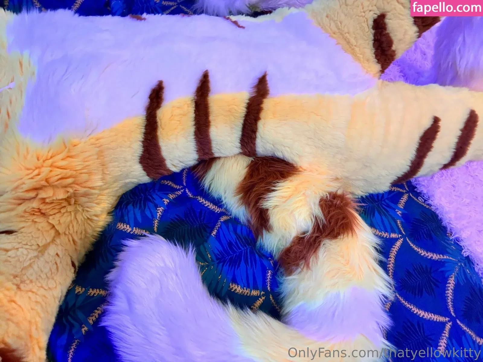 thatyellowkitty Onlyfans Photo Gallery 