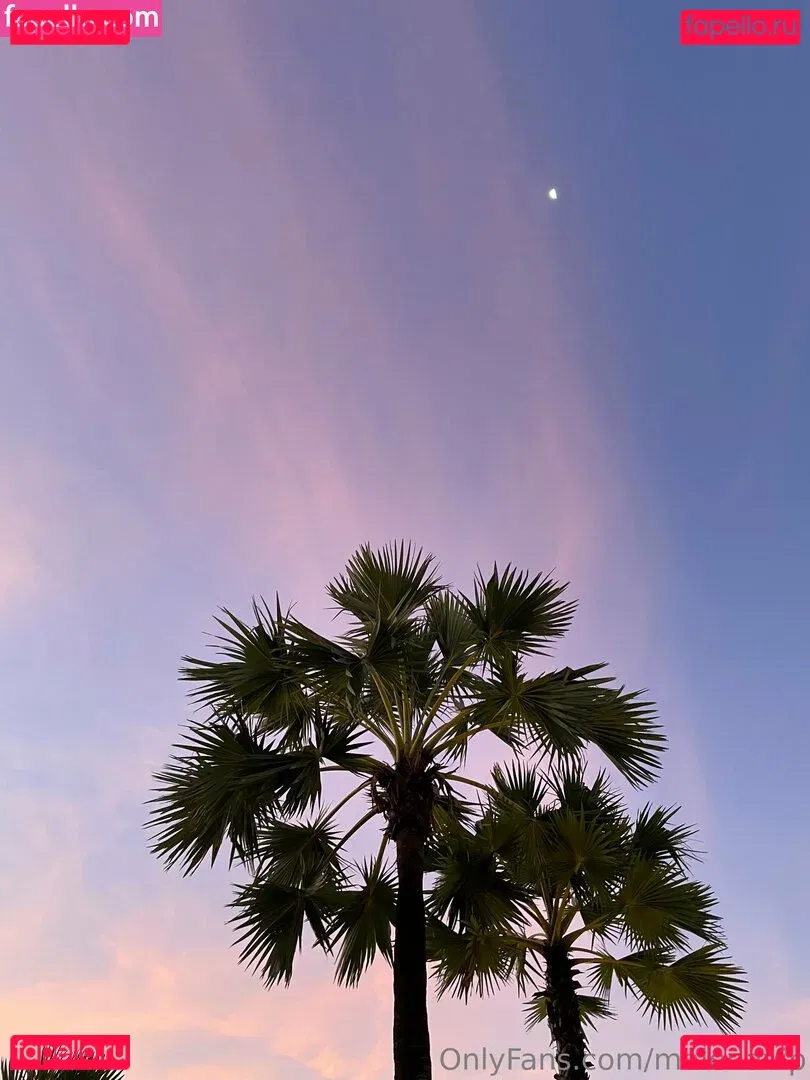 malenavip Onlyfans Photo Gallery 