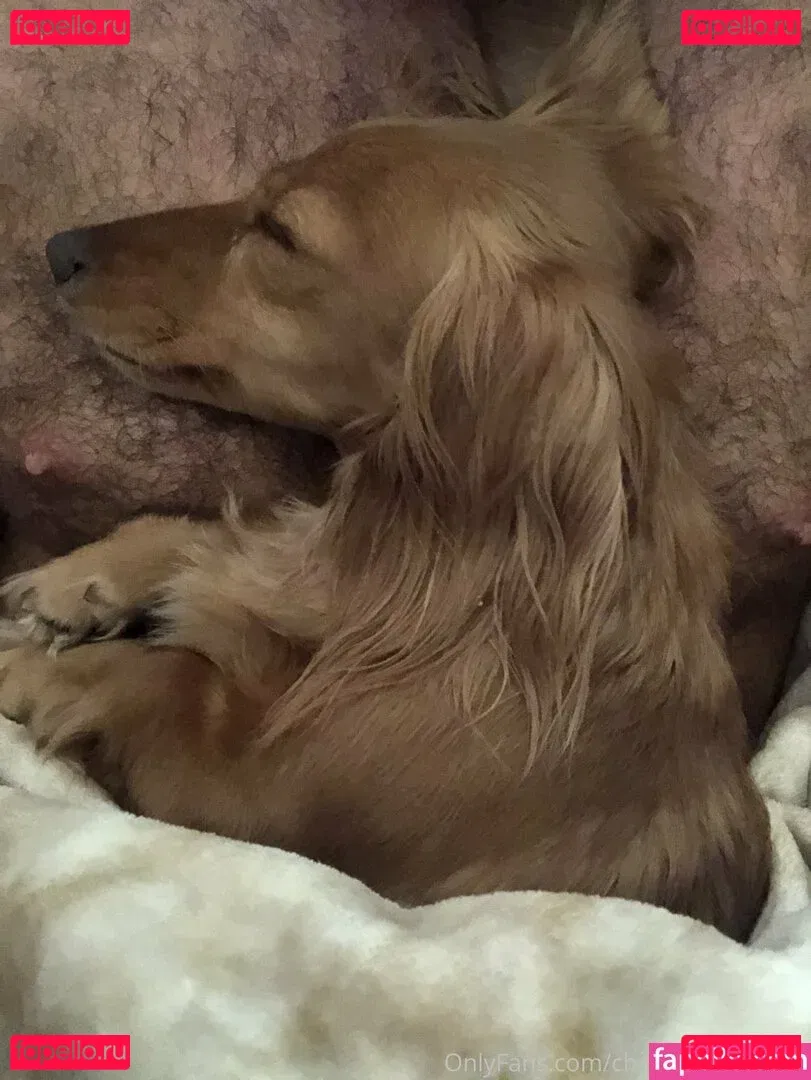 chadwhitexxxfree Onlyfans Photo Gallery 