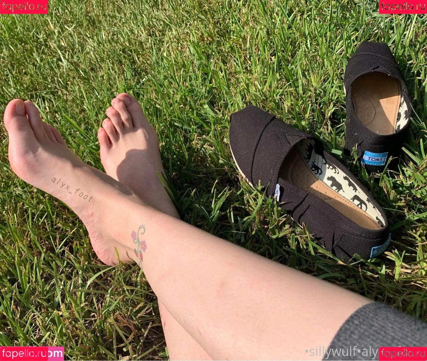 tinykittie Onlyfans Photo Gallery 