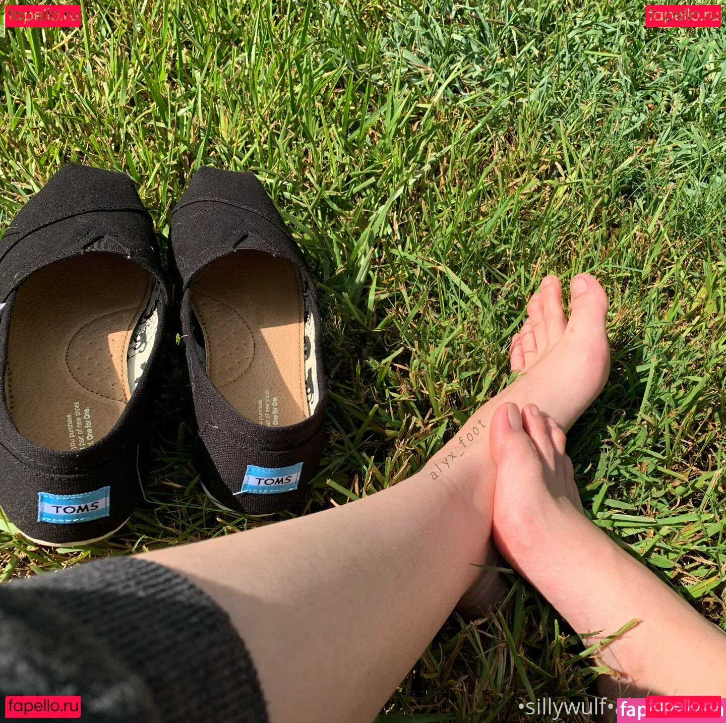 tinykittie Onlyfans Photo Gallery 