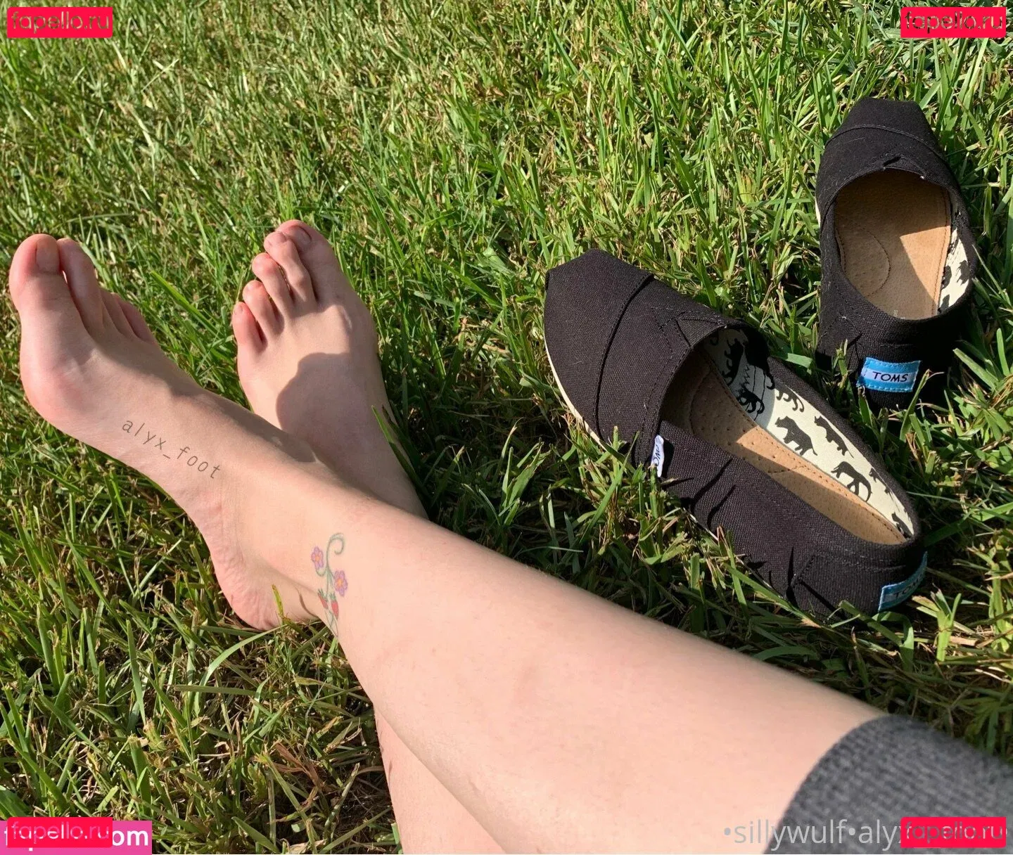 tinykittie Onlyfans Photo Gallery 