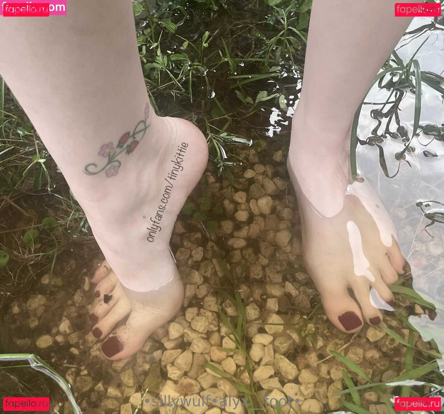 tinykittie Onlyfans Photo Gallery 