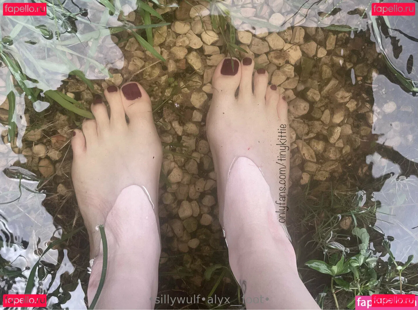 tinykittie Onlyfans Photo Gallery 