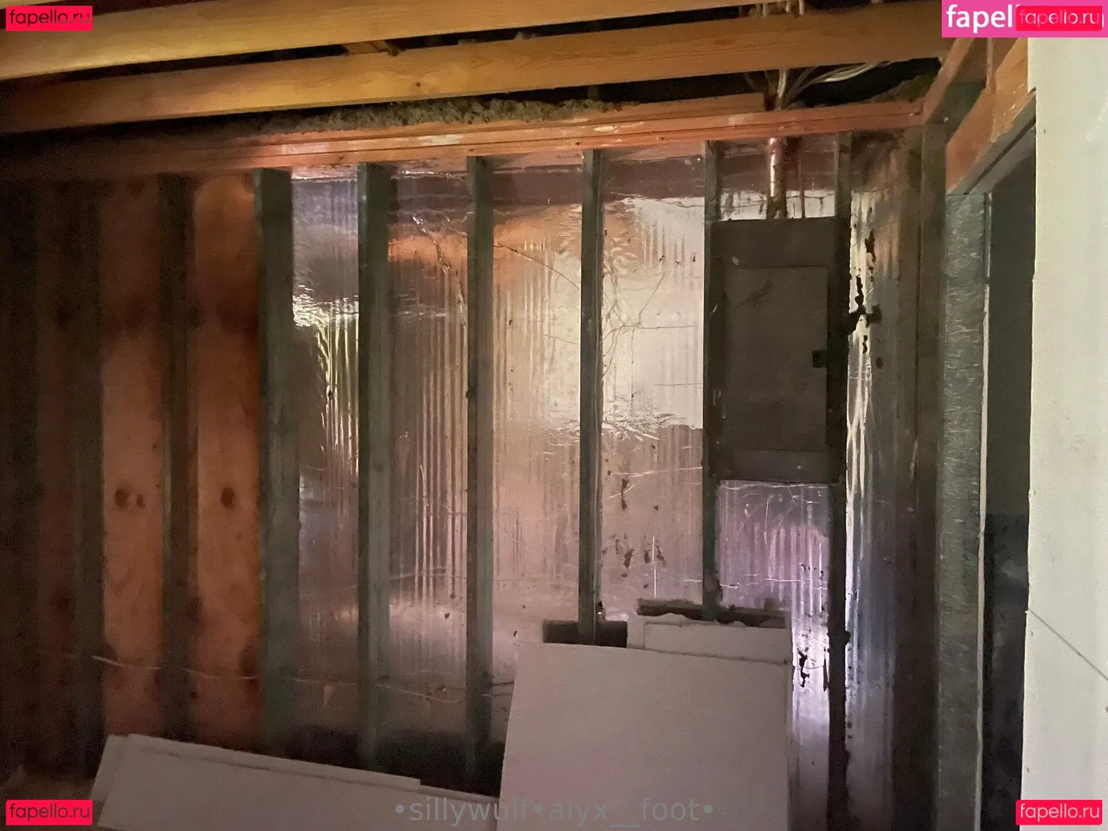 tinykittie Onlyfans Photo Gallery 