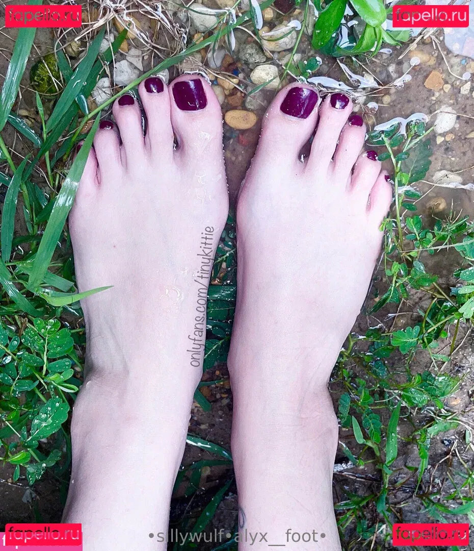 tinykittie Onlyfans Photo Gallery 